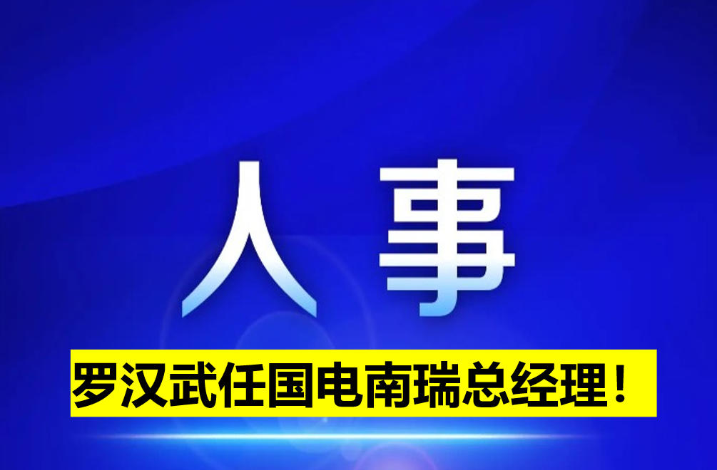 羅漢武任國電南瑞總經理！